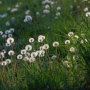 ヒメ日記 2025/09/08 17:31 投稿 れいか 奥鉄オクテツ神奈川店（デリヘル市場グループ）
