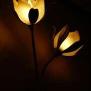 ヒメ日記 2025/09/08 21:31 投稿 れいか 奥鉄オクテツ神奈川店（デリヘル市場グループ）