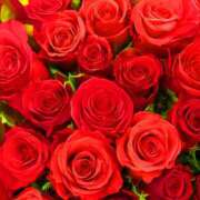 ヒメ日記 2025/09/09 12:01 投稿 れいか 奥鉄オクテツ神奈川店（デリヘル市場グループ）