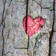 ヒメ日記 2025/09/13 20:31 投稿 れいか 奥鉄オクテツ神奈川店（デリヘル市場グループ）