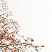 ヒメ日記 2025/09/24 19:31 投稿 れいか 奥鉄オクテツ神奈川店（デリヘル市場グループ）