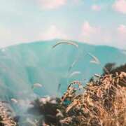 ヒメ日記 2025/09/24 20:30 投稿 れいか 奥鉄オクテツ神奈川店（デリヘル市場グループ）