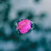 ヒメ日記 2025/09/24 22:20 投稿 れいか 奥鉄オクテツ神奈川店（デリヘル市場グループ）