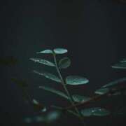 ヒメ日記 2025/09/24 23:25 投稿 れいか 奥鉄オクテツ神奈川店（デリヘル市場グループ）