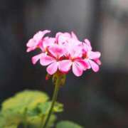 ヒメ日記 2025/09/25 10:00 投稿 れいか 奥鉄オクテツ神奈川店（デリヘル市場グループ）