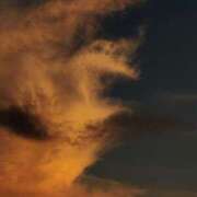 ヒメ日記 2025/09/25 11:00 投稿 れいか 奥鉄オクテツ神奈川店（デリヘル市場グループ）