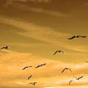 ヒメ日記 2025/09/29 23:01 投稿 れいか 奥鉄オクテツ神奈川店（デリヘル市場グループ）