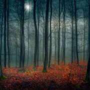 ヒメ日記 2025/10/04 12:02 投稿 れいか 奥鉄オクテツ神奈川店（デリヘル市場グループ）