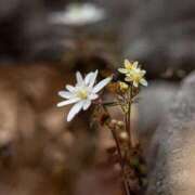 ヒメ日記 2025/10/04 16:01 投稿 れいか 奥鉄オクテツ神奈川店（デリヘル市場グループ）