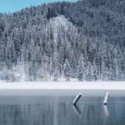 ヒメ日記 2025/10/04 18:01 投稿 れいか 奥鉄オクテツ神奈川店（デリヘル市場グループ）