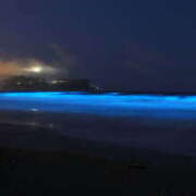 ヒメ日記 2025/10/05 10:00 投稿 れいか 奥鉄オクテツ神奈川店（デリヘル市場グループ）