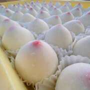 ヒメ日記 2026/01/31 15:22 投稿 れいか 奥鉄オクテツ神奈川店（デリヘル市場グループ）