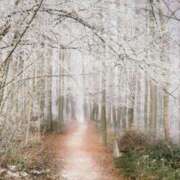 ヒメ日記 2026/02/05 18:31 投稿 れいか 奥鉄オクテツ神奈川店（デリヘル市場グループ）