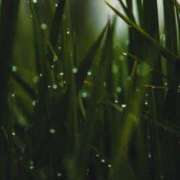 ヒメ日記 2026/02/22 14:25 投稿 れいか 奥鉄オクテツ神奈川店（デリヘル市場グループ）