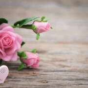 ヒメ日記 2026/03/04 12:01 投稿 れいか 奥鉄オクテツ神奈川店（デリヘル市場グループ）