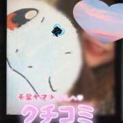 ヒメ日記 2025/04/18 12:16 投稿 うみ ちゃんこ幕張店