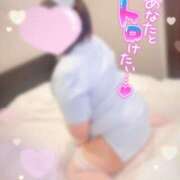 ヒメ日記 2025/04/18 22:26 投稿 うみ ちゃんこ幕張店