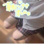 ヒメ日記 2025/04/23 12:07 投稿 うみ ちゃんこ幕張店