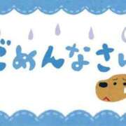 ヒメ日記 2025/04/26 10:11 投稿 うみ ちゃんこ幕張店