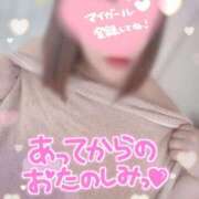 ヒメ日記 2025/05/24 11:26 投稿 うみ ちゃんこ幕張店