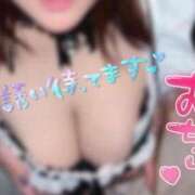 ヒメ日記 2025/10/03 11:18 投稿 うみ ちゃんこ幕張店