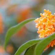 ヒメ日記 2025/10/24 21:56 投稿 うみ ちゃんこ幕張店