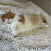 ヒメ日記 2025/06/07 15:23 投稿 ひな 梅田アバンチュール