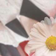 ヒメ日記 2025/10/16 07:02 投稿 ひな 梅田アバンチュール