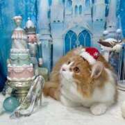 ヒメ日記 2025/12/28 10:34 投稿 ひな 梅田アバンチュール