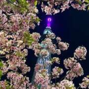 ヒメ日記 2025/04/05 21:23 投稿 めぐ One More 奥様　錦糸町店