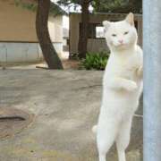 ヒメ日記 2025/08/14 22:56 投稿 清水智子 五十路マダム 仙台店