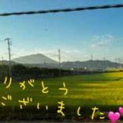 ヒメ日記 2025/08/18 17:46 投稿 清水智子 五十路マダム 仙台店