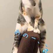 ヒメ日記 2025/09/29 16:18 投稿 清水智子 五十路マダム 仙台店