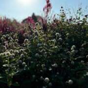 ヒメ日記 2026/03/19 10:45 投稿 新垣 品川やすらぎ