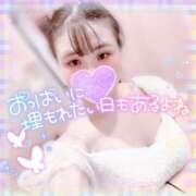 ヒメ日記 2024/12/29 07:17 投稿 きらら マリン宮殿雄琴店