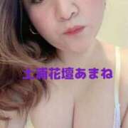 ヒメ日記 2025/01/03 15:27 投稿 あまね モアグループ 土浦人妻花壇