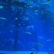 ヒメ日記 2025/04/27 19:03 投稿 あまね モアグループ 土浦人妻花壇