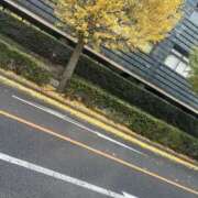 ヒメ日記 2025/11/23 19:33 投稿 あまね モアグループ 土浦人妻花壇