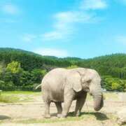 ヒメ日記 2026/08/03 04:03 投稿 倉本 なつ こあくまな人妻・熟女たち山口店（KOAKUMAグループ）