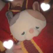 ヒメ日記 2024/12/15 09:32 投稿 ゆきか アラモード