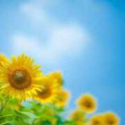 ヒメ日記 2025/09/07 10:33 投稿 ことね しろうとCollection