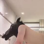 ヒメ日記 2025/03/21 16:23 投稿 海老名あい＠本格派美女王 アナラードライ