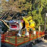 ヒメ日記 2024/08/08 16:21 投稿 九条逢心（あいみ） 松戸角海老根本店