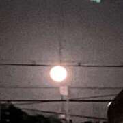 ヒメ日記 2026/03/05 20:42 投稿 モモ ドMな奥様 大阪本店