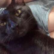 ヒメ日記 2026/03/25 07:20 投稿 モモ ドMな奥様 大阪本店