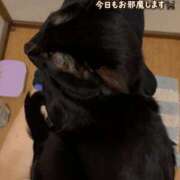 ヒメ日記 2026/10/12 08:03 投稿 モモ ドMな奥様 大阪本店