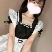 ヒメ日記 2024/12/21 09:27 投稿 あわい ロイヤル土佐