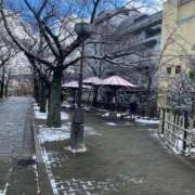 ヒメ日記 2025/02/02 12:01 投稿 あわい ロイヤル土佐