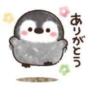 ヒメ日記 2025/03/10 08:01 投稿 あわい ロイヤル土佐