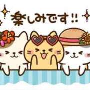 ヒメ日記 2025/06/08 12:00 投稿 あわい ロイヤル土佐